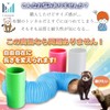 Y'sssshop Ferret Tunnel Chinchilla Hamster Pipe Toy Play Tool (Aqua)