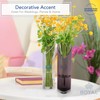 Royal Imports Flower Glass Vase Decorative Centerpiece for Home or