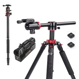 ZOMEi 75'' Tripod,Camera Tripod for DSLR,Ball Head Tripod Professional Tripods 4 Section Horizontal Tripod with 360 Degree Ball Head Plate for Canon DSLR DV Scope Camcorder and Projector