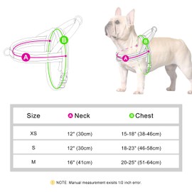 Beirui No Pull Dog Harness for Small Medium Dogs Puppies, Soft Neoprene Quick Fit Harness with Durable Front Clip & Back Clip, Lightweight Easy for Daily Walking (Purple,XS)