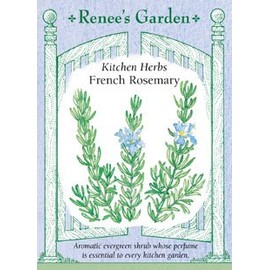 Rosemary - French Seeds