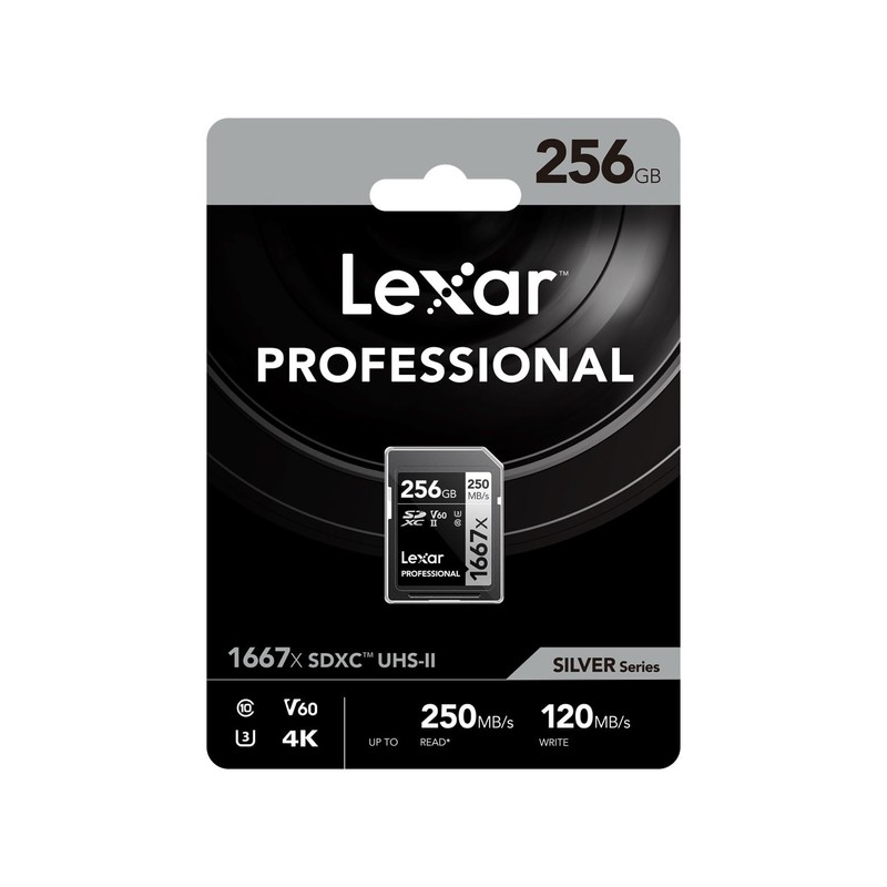 Lexar LSD256CB1667 SDXC Card, 256 GB, Silver Series, Class 10