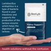 BestLyfe Kidney Support | 60 Capsules | Liver & Kidney