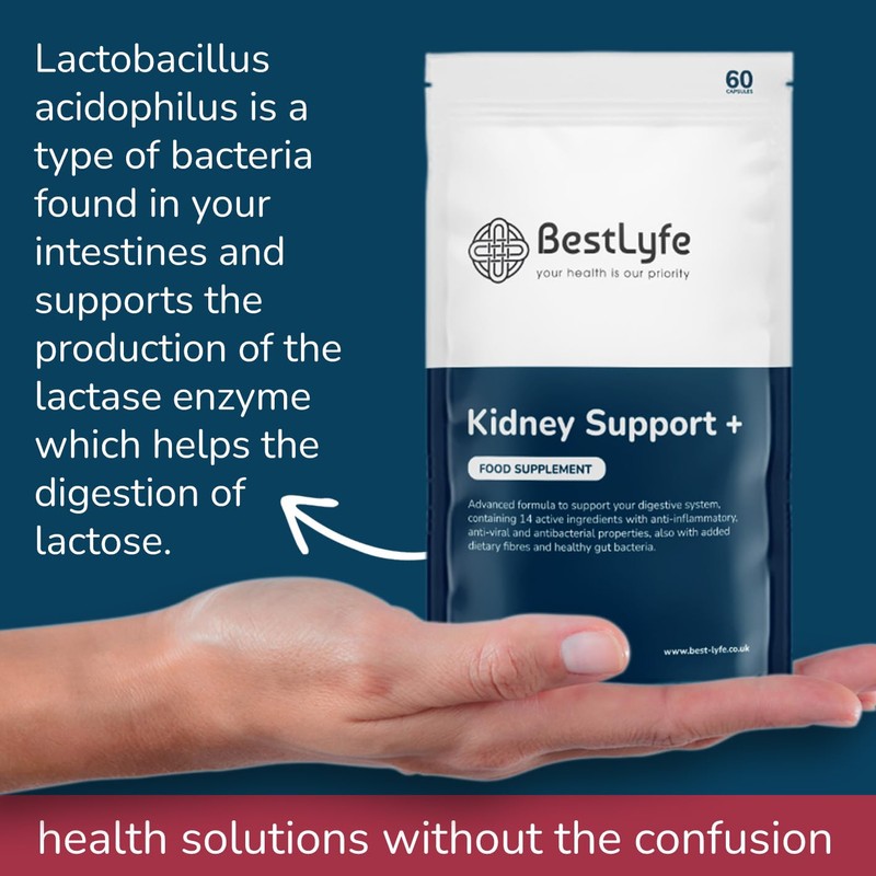 BestLyfe Kidney Support | 60 Capsules | Liver & Kidney