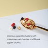 Nature's Path Organic Summer Berries Granola, 11 oz (Pack of