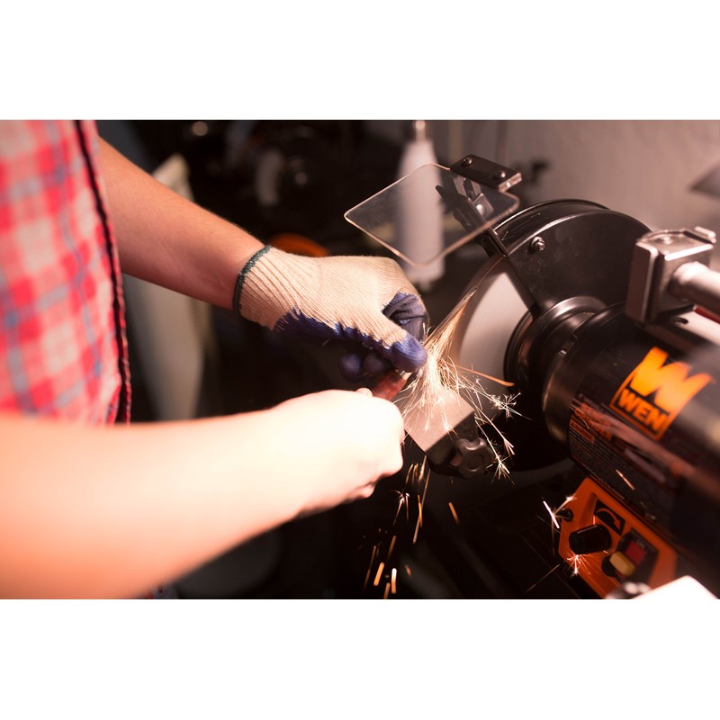 WEN BG4280 5-Amp 8-Inch Variable Speed Bench Grinder with Flexible