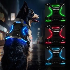 Generic Blue (LED) Light Dog Harness | Dog Harness Medium Sized Dog | Light Up Dog Harness | Soft Handle | Rechargeable, Lighted Dog Collars for Night | Glow in The Dark Dog Collar | Blue - Small