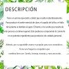 Aceite Esencial De Clavo, 100% Puro 100% Natural