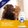 DORWEST Turmeric Tablets for Dogs and Cats, 500 Tablets, Easy-to-Absorb