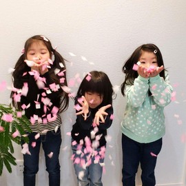 Spice of Life Confetti KNOT & BOW PC1-P Confetti, Pink, Size L, 1.8 oz (50 g), Party, Wedding