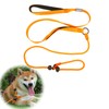 Slip Lead for Dogs Leash Explosion-Proof Strong Adjustable Collar Thin