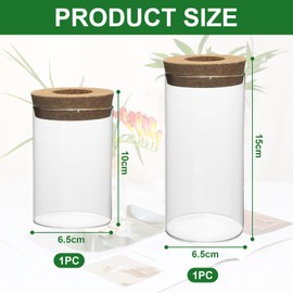 Zernblend Pack of 2 Vases with Wooden Lid, Vase, Small Vases, Tulip Vase (6.5 cm x 10 cm + 6.5 cm x 15 cm)