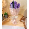 Comfysail Pipe Cleaner Flower Lavender Set,Pipe Cleaners Craft Set Chenille