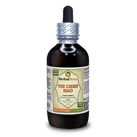 Yin Chen Hao (Artemisia Capillaris) Tincture, Organic Dried Herb Liquid Extract (Brand Name: HerbalTerra, Proudly Made in USA) 4 fl.oz (120 ml)