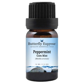 Peppermint (Mentha arvensis) Essential Oil 10ml - 100% Pure - by Butterfly Express