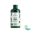 Moringa Conditioner 250ML (33543) / 모링가 컨디셔너 250ML (33543)
