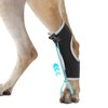 Dog Knuckling Brace Wrap for Hyperflexion of Phalanges Cause by