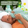 Gain Dryer Sheets, Original Scent Laundry Fabric Softener Sheets with