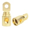 2Pcs 0 Gauge Brass with Gold Plated Ring Set Screw