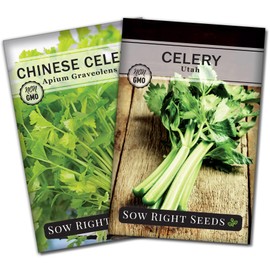 Sow Right Seeds - Celery Seed Collection for Planting - Chinese and Tall Utah Celery - Cold Hardy Veg - Non-GMO Heirloom Packets with Instructions to Plant and Grow a Home Garden - Fresh & Crisp
