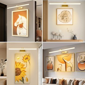 HOWMZON Picture Light, Battery Picture Lights with Remote of Timer and Dimmable, 20" Metal Art Light for Paintings,Display Lamp for Wall Gallery Dartboard Portrait Frame Artwork (Gold)