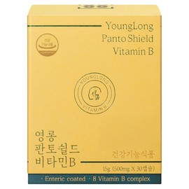 Yeongrong Panto Shield Vitamin B, 1 ea, 30 tablets / 영롱 판토쉴드 비타민B, 1개, 30정