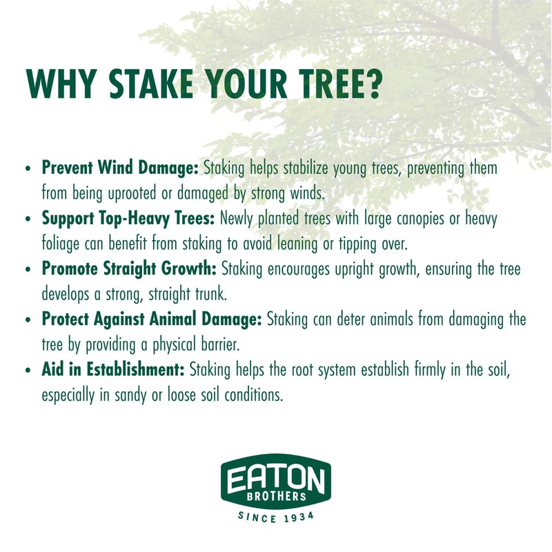 Eaton Brothers Tree Stake Kit – Complete Young Tree Support
