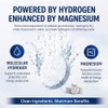 Hydrogen Water Tablets with Magnesium, 100 Count H2 Molecular Hydrogen