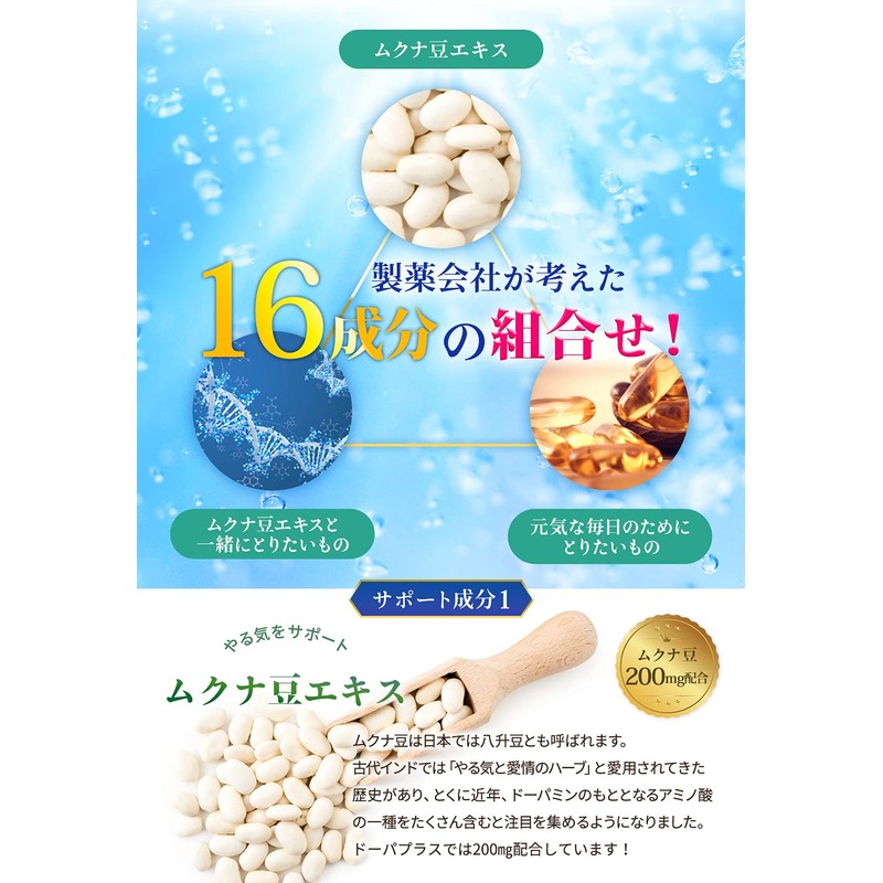 【 薬膳 アドバイザー監修】 やる気 サポート サプリ ドーパ プラス（30日分）ムクナ イチョウ葉 ビタミンB12