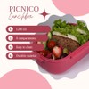 Picnico Lunch Box for Children and Adults - Lunch Box