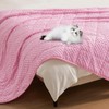 Topcee Weighted Blanket for Adults, Minky Dots Heavy Blanket for