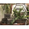 Admired By Nature Set of 2 Stained Wood Medium and