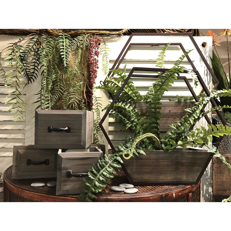 Admired By Nature Set of 2 Stained Wood Medium and