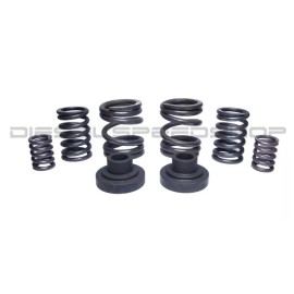 Dieselspeedshop 1994-1998 FITS Dodge Cummins® 3000/4000 RPM GSK GOV SPRING KIT & 6 60# SPRINGS