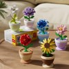 Sacblirr 6 Set Mini Flower Bonsai DIY Potted Plant Building