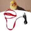 Bird Leash Bite Resistant Adjustable Parrot Flying Training Rope for