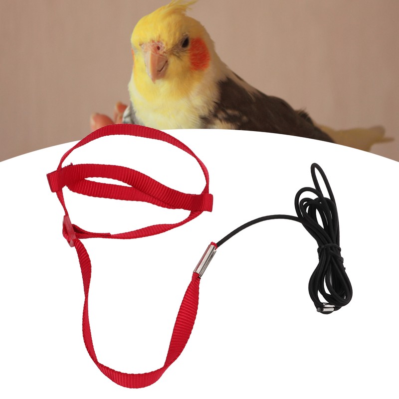 Bird Leash Bite Resistant Adjustable Parrot Flying Training Rope for