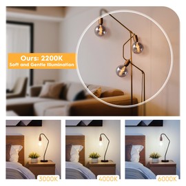 Unique Stained Glass Light Bulbs, Low Lumen Eye-Caring Soft Dim Lighting for Mood (Not Daylight White) 55LM, Oversized Globe Decorative Dimmable LED Bulb 3.5W, E26 Medium Base, Smoke RN G125