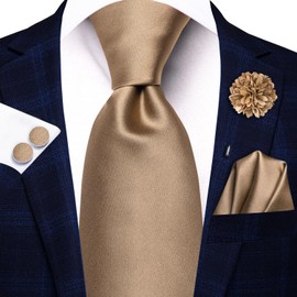 Hi-Tie Silk Men's Tie and Pocket Square Cufflinks Lapel Pin Set Jacquard Wedding Business Necktie for Formal,Bronze Gold