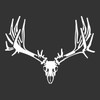 Non-Typical Mule Deer Skull Decal - Mule Deer Hunting Sticker - Hunters Image (White)