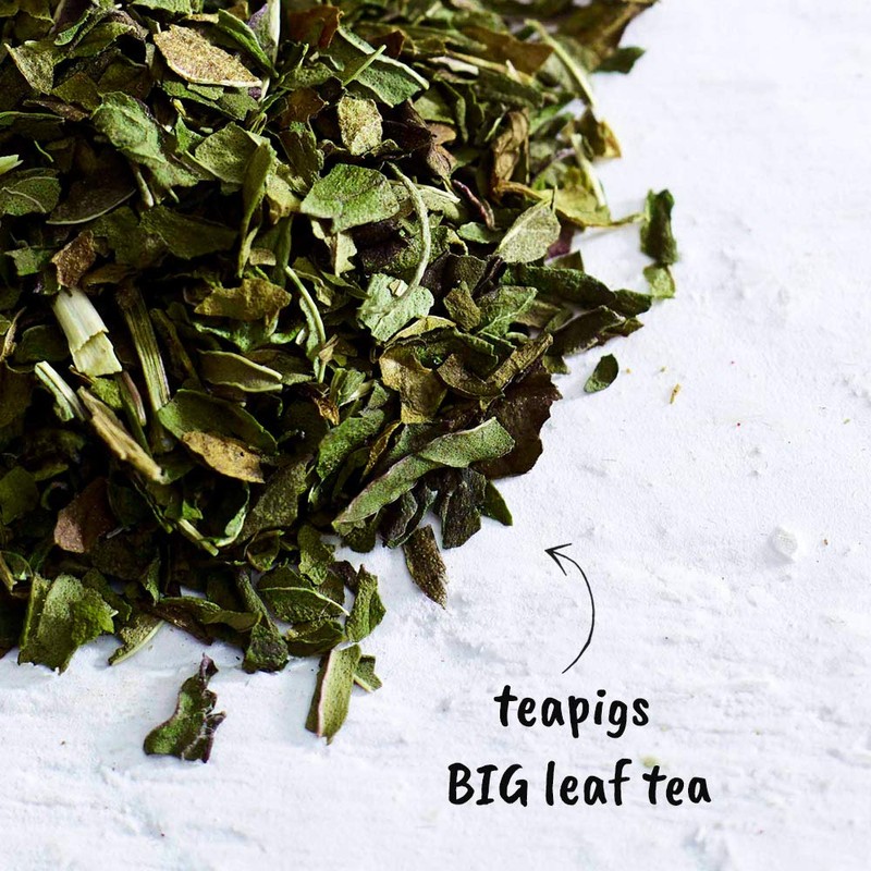 Teapigs Peppermint Leaves Loose Tea Made With Whole Leaves (1