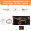Ariceleo Upgraded LED Fairy Lights, 4 Pack 16ft Multi Color