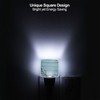 Seashell Night Light Plug-in LED Lamp Set of 2, Dusk