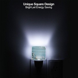 Seashell Night Light Plug-in LED Lamp Set of 2, Dusk to Dawn Auto Sensor Summer Beach Board Nightlights 2 Pack