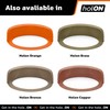 Holon Golf Putting Cup REAL Indoor Golf Putting Hole “ON”