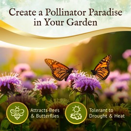 Everwilde Wild Bergamot Seeds 1/4 lb – Native Perennial Wildflower – Attracts Bees, Butterflies & Hummingbirds – Drought Tolerant & Deer Resistant – Pollinator Gardens – Bulk Gold Vault Packet