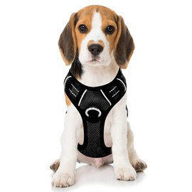 BARKBAY No Pull Dog Harness Front Clip Heavy Duty Reflective Easy Control Handle for Large Dog Walking with ID tag Pocket(Ocean Blue,M)