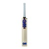 Gunn & Moore GM, RADON, Cricket Bat, DXM, TOETEK Technologies,