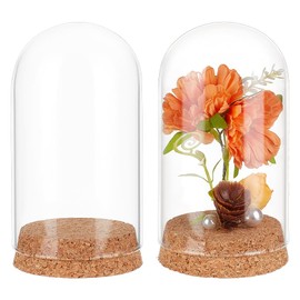 BENECREAT 2 Pcs Glass Display Cloche, 2.8x5.1 inches Bell Jar Dome with Cork Base, Display Dome Glass for Flower, Plant, Miniature and Craft, Home Decoration, ID: 2.6 inches