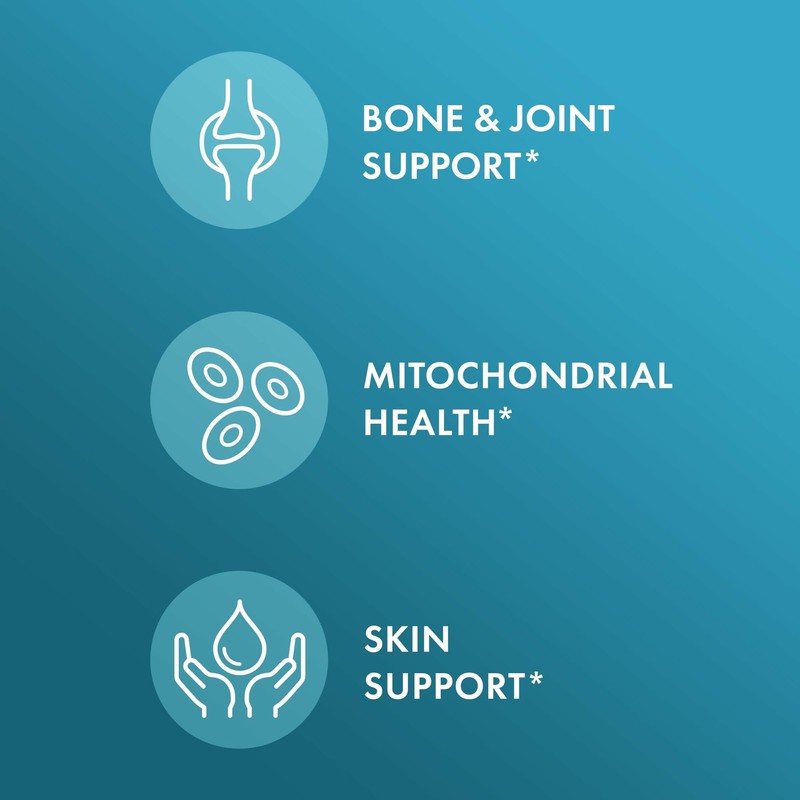 Dr. Mercola Joint Formula - Supports Joint Comfort & Mobility